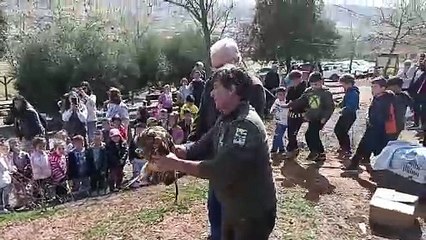 El Gobierno de Castilla-La Mancha devuelve a su medio natural a cuatro aves recuperadas en el Centro ‘El Chaparillo’ de Ciudad Real