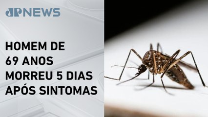 São Paulo registra segunda morte por dengue em 2025