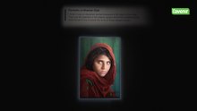 Exposition "Steve Mc Curry Icons", à Bruxelles