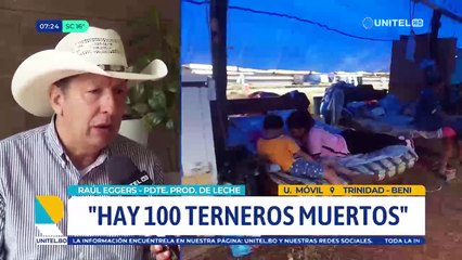 No hay pastura para el ganado y hay mortandad de terneros, lamenta productor lechero de Beni