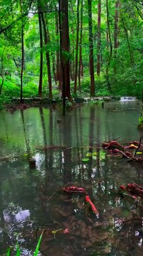 Hupao Park, Hangzhou, China / Parc Hupao, Hangzhou, Chine