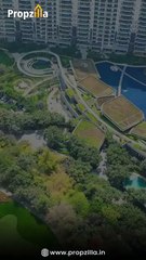 Explore the Serenity of DLF Dahlias: Where Luxury and Nature Converge