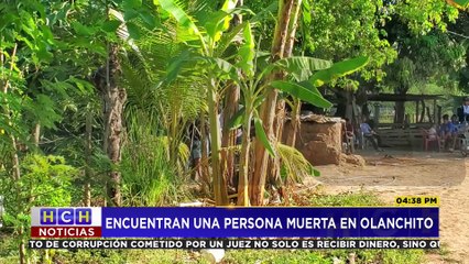 QUE VIVA LA VIDA 31 DE MARZO DEL 2025