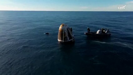 Delfines reciben a Butch y Suni en su regreso a la Tierra