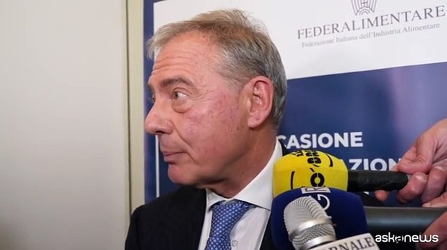 Dazi, ministro Urso: rispondere con altri dazi aumenterebbe il danno