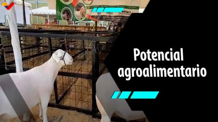 Al Aire | 3.ª Edición de la Expo Feria Nacional Bufalina, Caprina y Ovina 2025 del 9 al 13 de abril