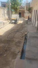 Feel Only: Embrace Your True Emotions