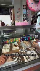 Best Donut 🍩 in Africa  #shorts   #namibia   #swakopmund 720