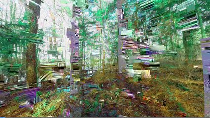 Forest Sounds for Relax; Early Spring 4K