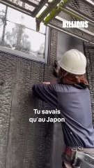 🔥 Des maisons en bois carbonisé ⁉️