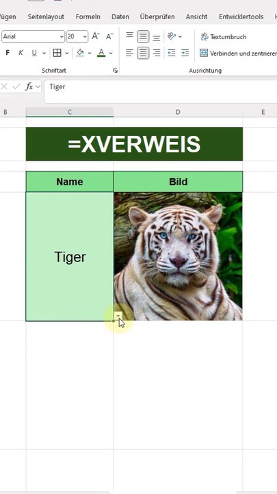 Excel-Funktion XVERWEIS am Beispiel eines Dropdown-Menüs für Fotos
