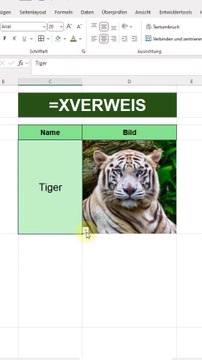 Excel-Funktion XVERWEIS am Beispiel eines Dropdown-Menüs für Fotos