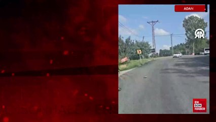 Adana'da trafik polisi yoldan geçmeye çalışan kaplumbağaya yardım eli uzattı