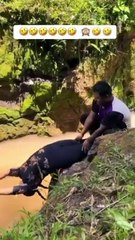 funnyvideos