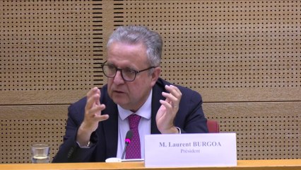 Directeur général de Nestlé auditionné : "Nous donnons au groupe une dernière chance de s’expliquer"