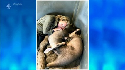 Countdown | Monday 7th January 2019 | Episode 6983 (C4 repeat)