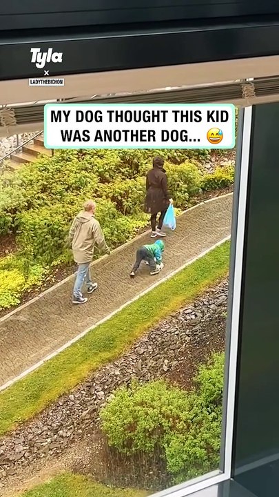 Lach dich schlapp mit Lustige Pfoten Ч. 38