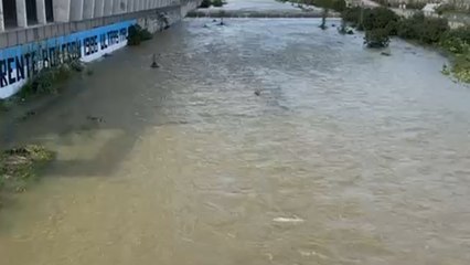 Vídeo del río Guadalmedina con agua este miércoles 2 de abril.