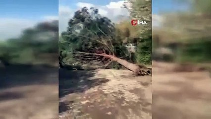 Mardin’de hortum çatıları uçurdu, ağaçları devirdi