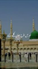 نبی پاک صلی اللہ علیہ وسلم نے فرمایا