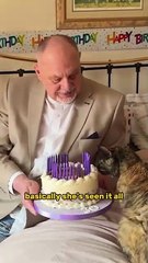 Gata mais velha do mundo faz 30 anos e ganha festa