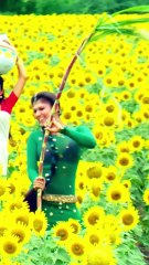Nayanthara Hot Vertical Video #nayanthara #hot #ajith #vijay #prabhas #raviteja #venkatesh #trending