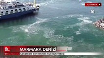 Çanakkale sahillerinde müsilaj tehlikesi