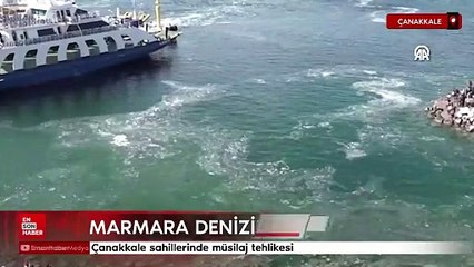 Çanakkale sahillerinde müsilaj tehlikesi