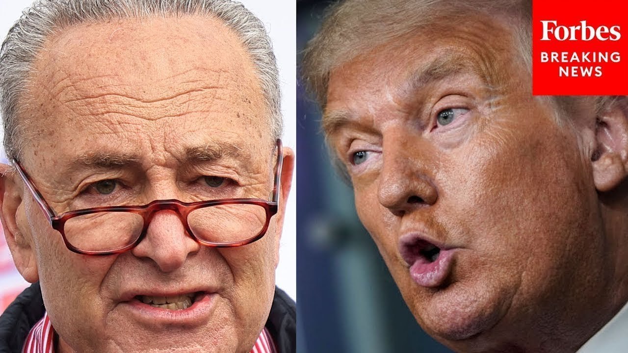 Chuck Schumer And Senate Democrats Blast President Trump Over Tariffs