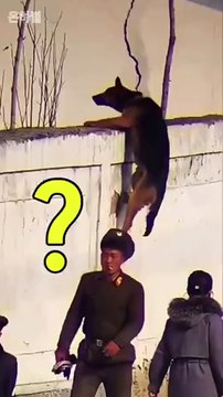 Y'a qu'en Corée du Nord qu'on voit ça