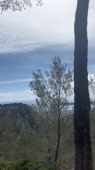 SUPERBE BALADE au Mont Faron