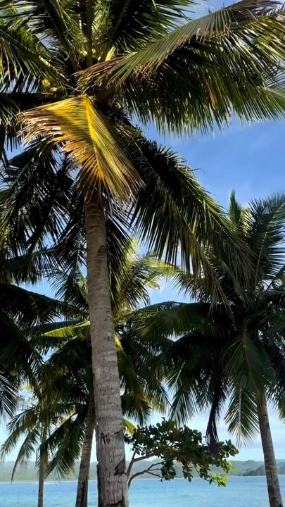 LES INCONTOURNABLES des Philippines