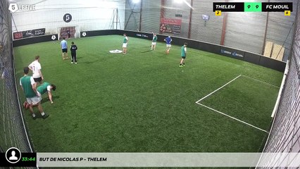 But de Nicolas P - Thelem