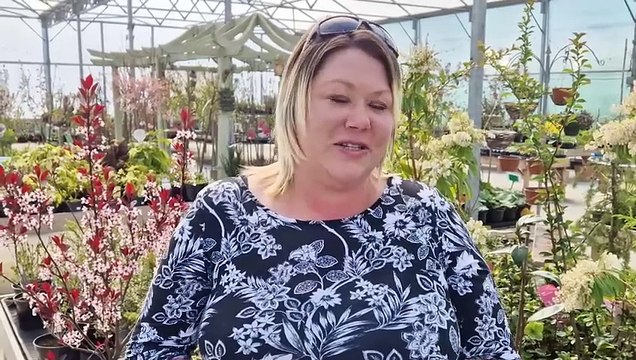 Garden Centre celebrates 3rd anniversary in Mid Sussex