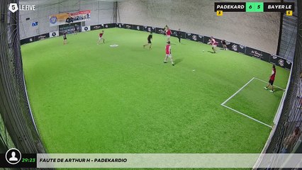 Faute de Arthur H - Padekardio