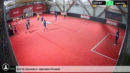 But de Johanna H - Bird Bird Féminine