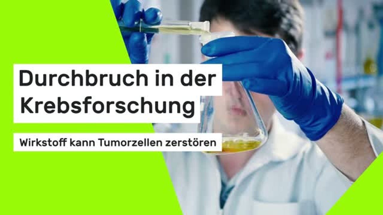 Durchbruch in der Krebsforschung: Wirkstoff kann Tumorzellen zerstören
