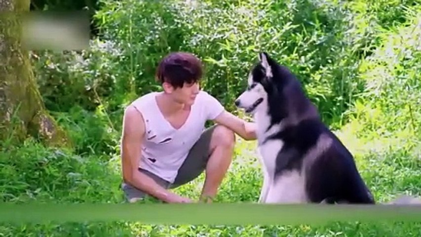 A lost child wandered into the wolves' territory and grew up to become the wolf prince.