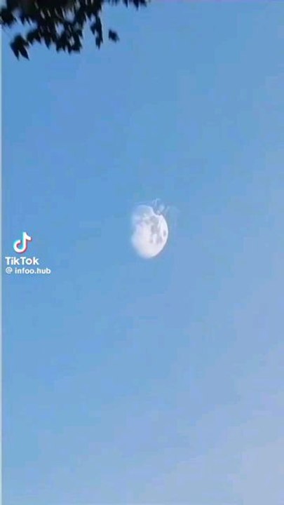 Bone chilling facts that we wish weren't true