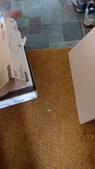 fml...