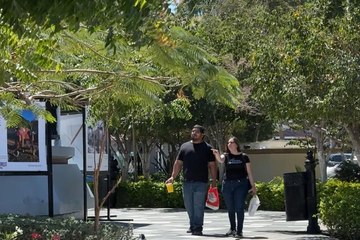 Paceños indiferentes ante Elección Judicial: ¿Les da Igual?