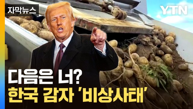 [자막뉴스] 심상치 않은 미국 움직임...관세 폭탄 속 감자도 '비상' / YTN