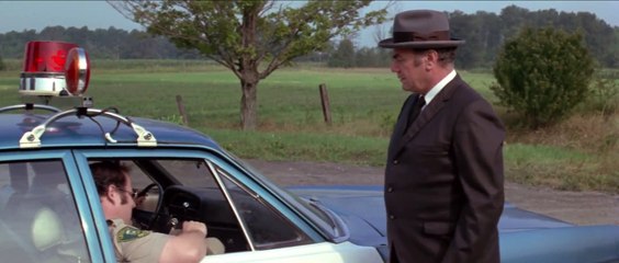 Sunday in the Country 1974