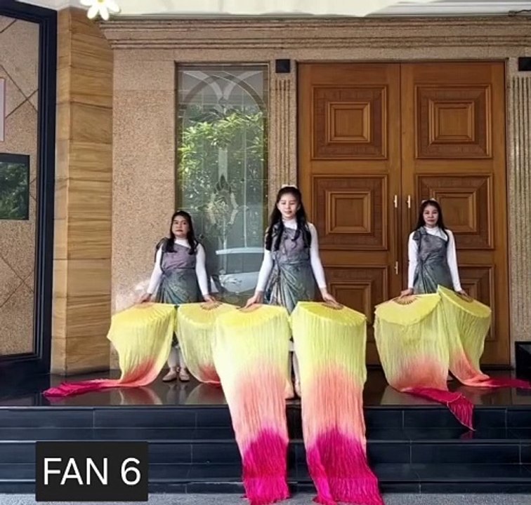 FAN 6