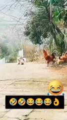 funny video 🤣🤣🤣🤣 short video