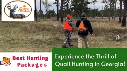 Experience the Thrill of Quail Hunting in Georgia- The Southern Residence