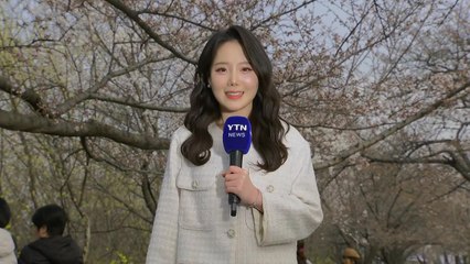 [날씨] 화창한 날씨에 봄꽃 피어나...일교차·미세먼지 유의 / YTN