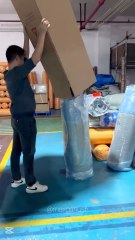 Smart Work Forest Strong Wind White ASMR