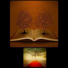 NON È POSSIBILE TORNAREDario MenicucciLegge Alfonso Basso               ♥️♥️♥️