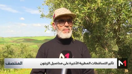 المنتصف - 02/04/2025